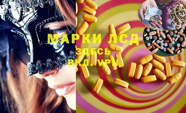 молекула духа Кулебаки