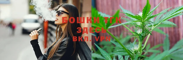 молекула духа Кулебаки