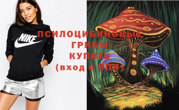 MDMA Болотное