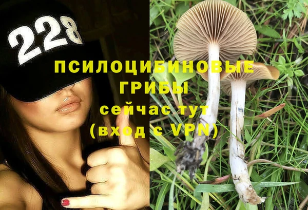 молекула духа Кулебаки