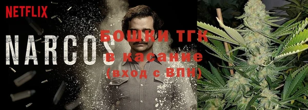 гашик Лабытнанги