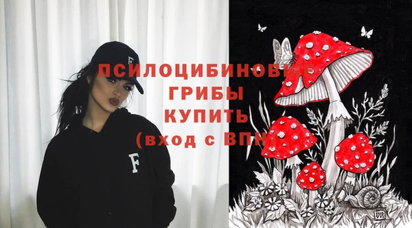 apvp Куйбышев