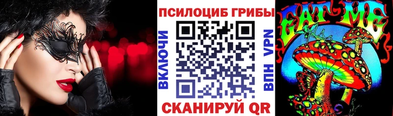 Галлюциногенные грибы Psilocybine cubensis  Ленинск-Кузнецкий 