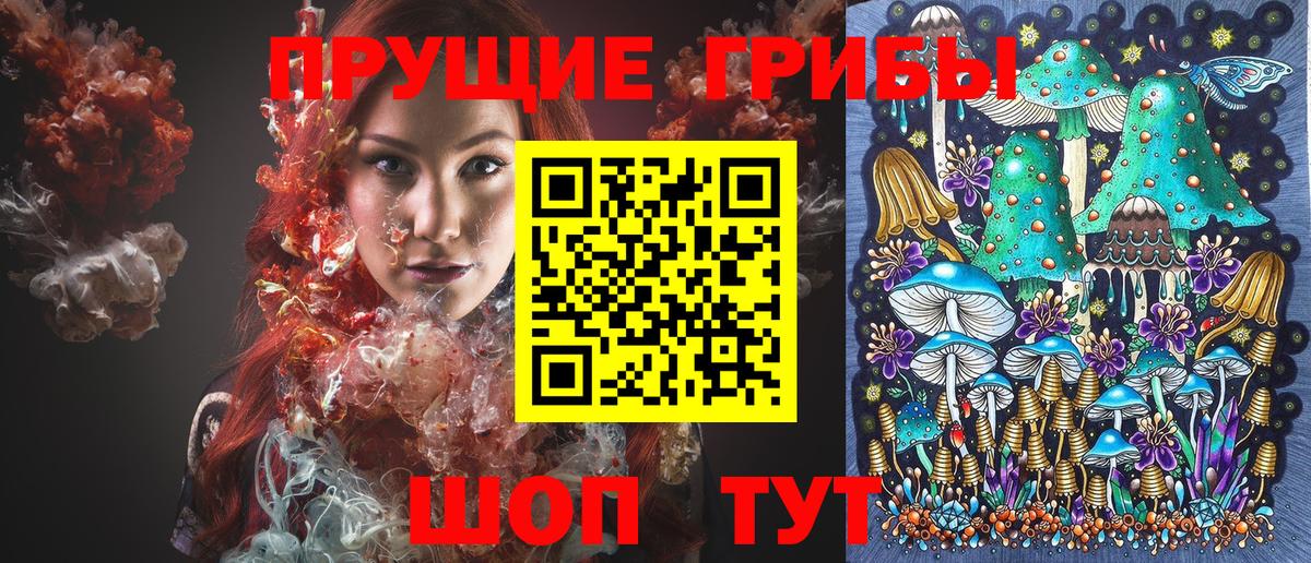 Псилоцибиновые грибы Cubensis Ленинск-Кузнецкий