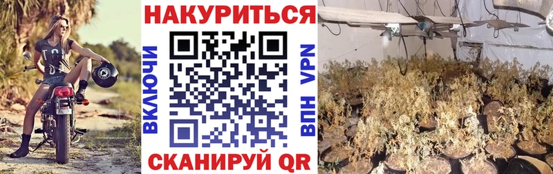 Каннабис Amnesia Ленинск-Кузнецкий